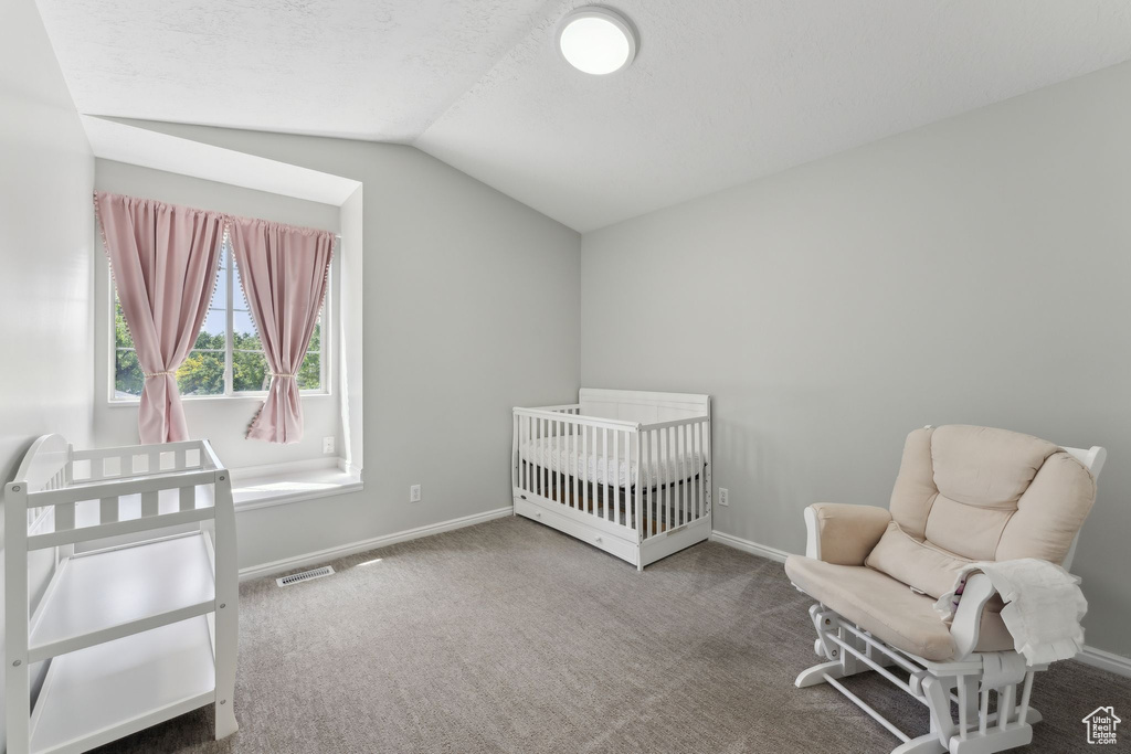 Bedroom with lofted ceiling, carpet, baseboards, and a crib