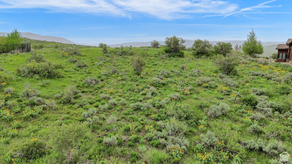 View of undeveloped land featuring mountains
