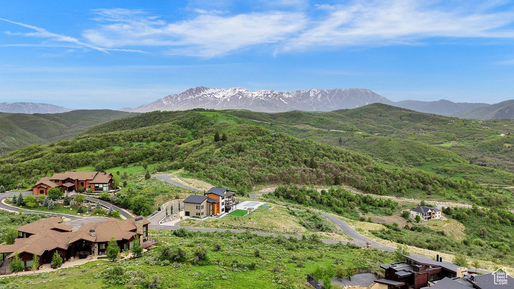 Bird\'s eye view of a mountain backdrop and a forest