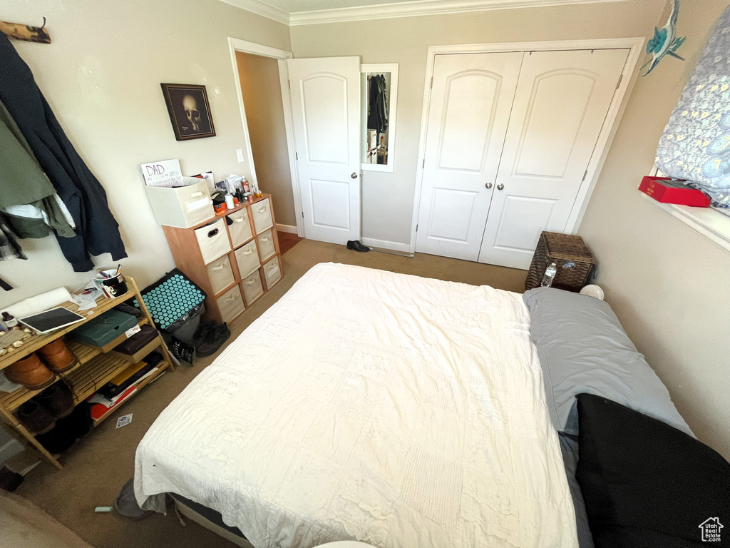 Bedroom featuring crown molding, carpet floors, and a closet
