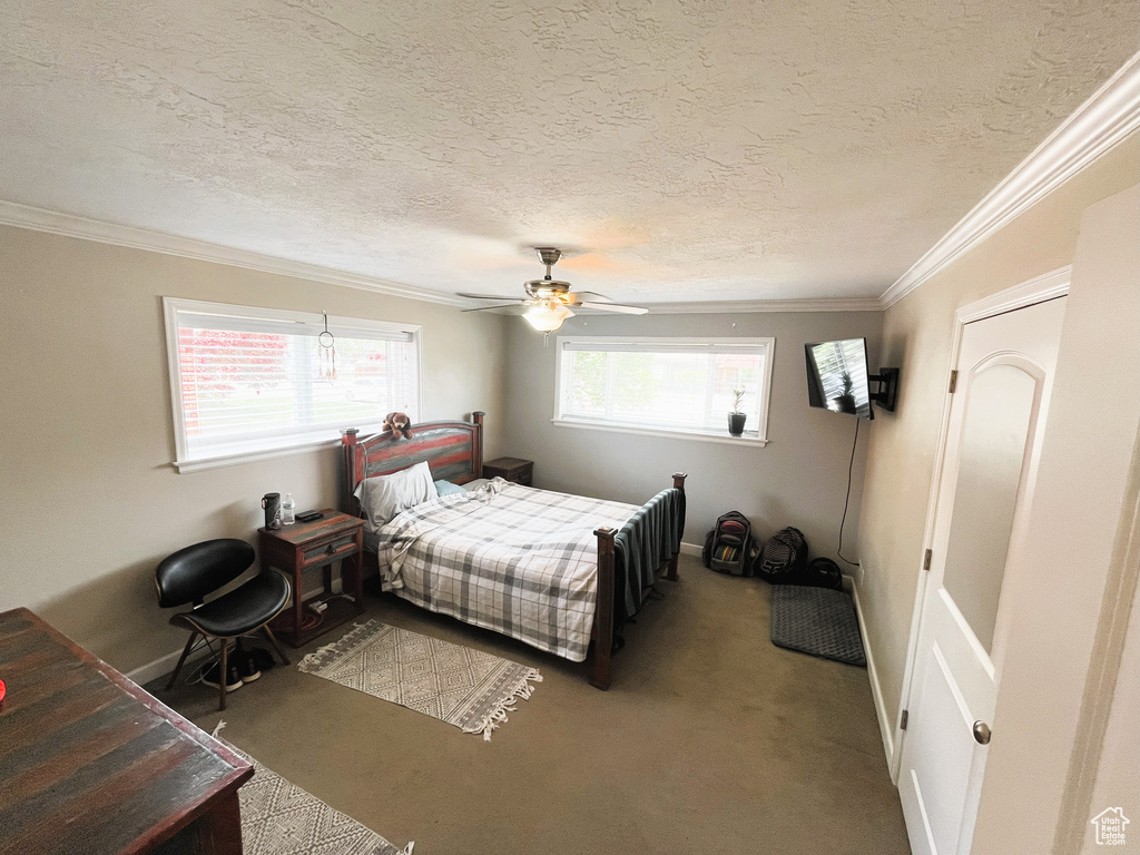 Carpeted bedroom featuring ornamental molding, ceiling fan, baseboards, and a textured ceiling