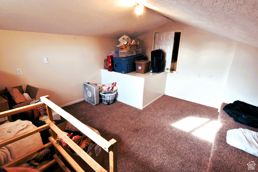 Additional living space featuring a textured ceiling, vaulted ceiling, and carpet