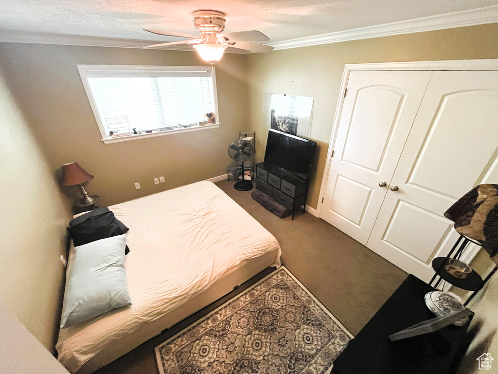 Bedroom with dark carpet, ornamental molding, ceiling fan, and baseboards
