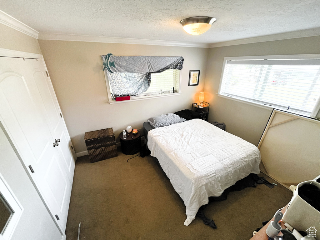 Carpeted bedroom featuring ornamental molding and a textured ceiling