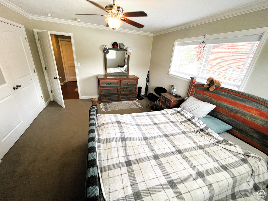 Bedroom featuring carpet floors, ornamental molding, baseboards, and ceiling fan