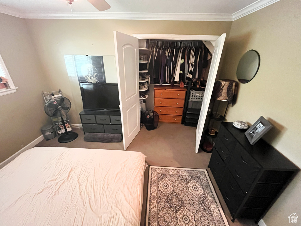 Bedroom with carpet, ornamental molding, a closet, and baseboards