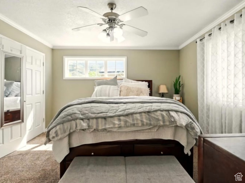 Bedroom with crown molding, carpet flooring, and ceiling fan