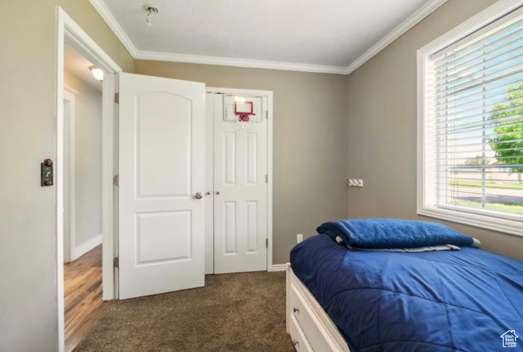 Bedroom with ornamental molding, dark colored carpet, and baseboards