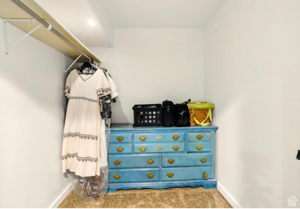 Spacious closet with carpet