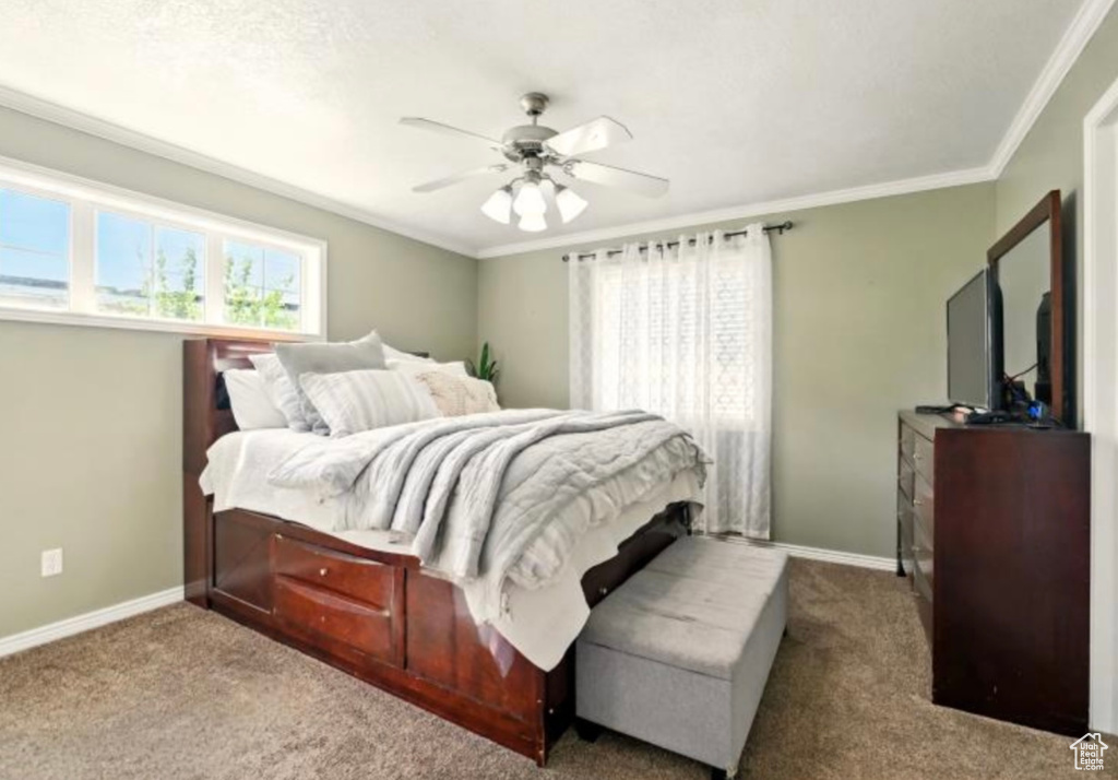 Carpeted bedroom with multiple windows, baseboards, crown molding, and ceiling fan