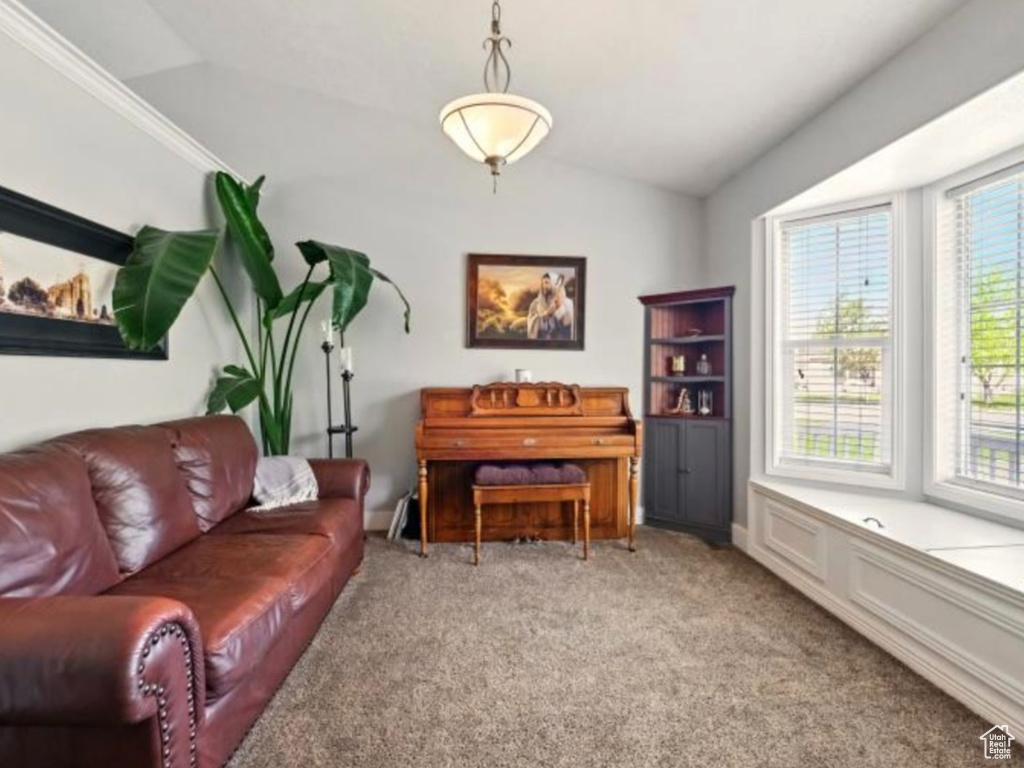 Sitting room with carpet, plenty of natural light, and vaulted ceiling