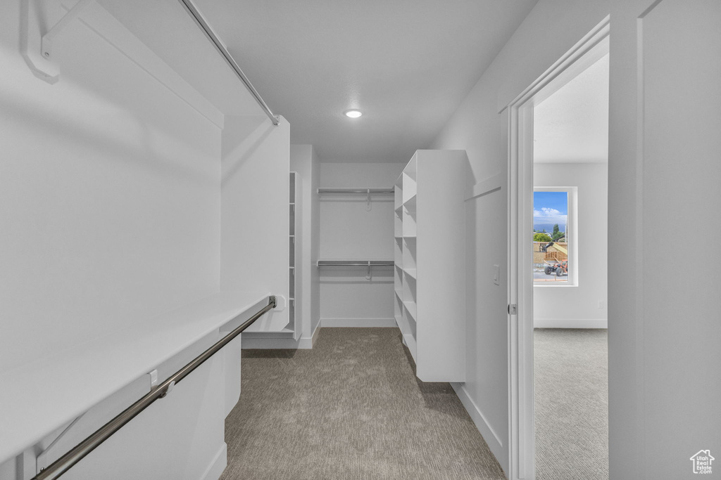 Walk in closet with carpet flooring