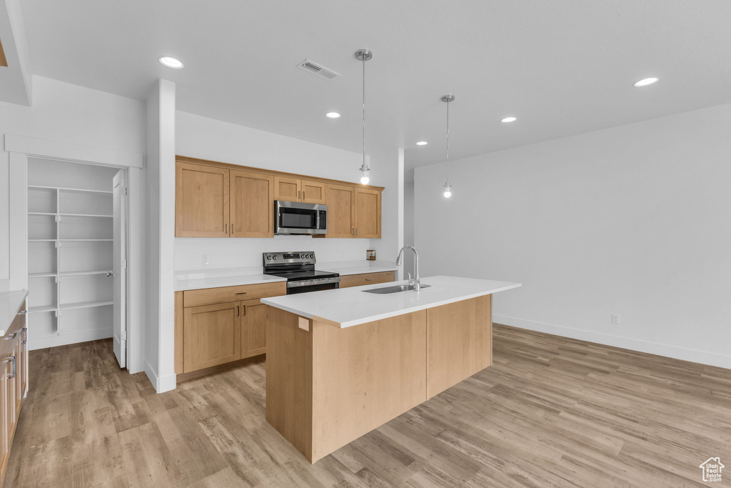 Kitchen with stainless steel appliances, a sink, light wood-style floors, light countertops, and recessed lighting