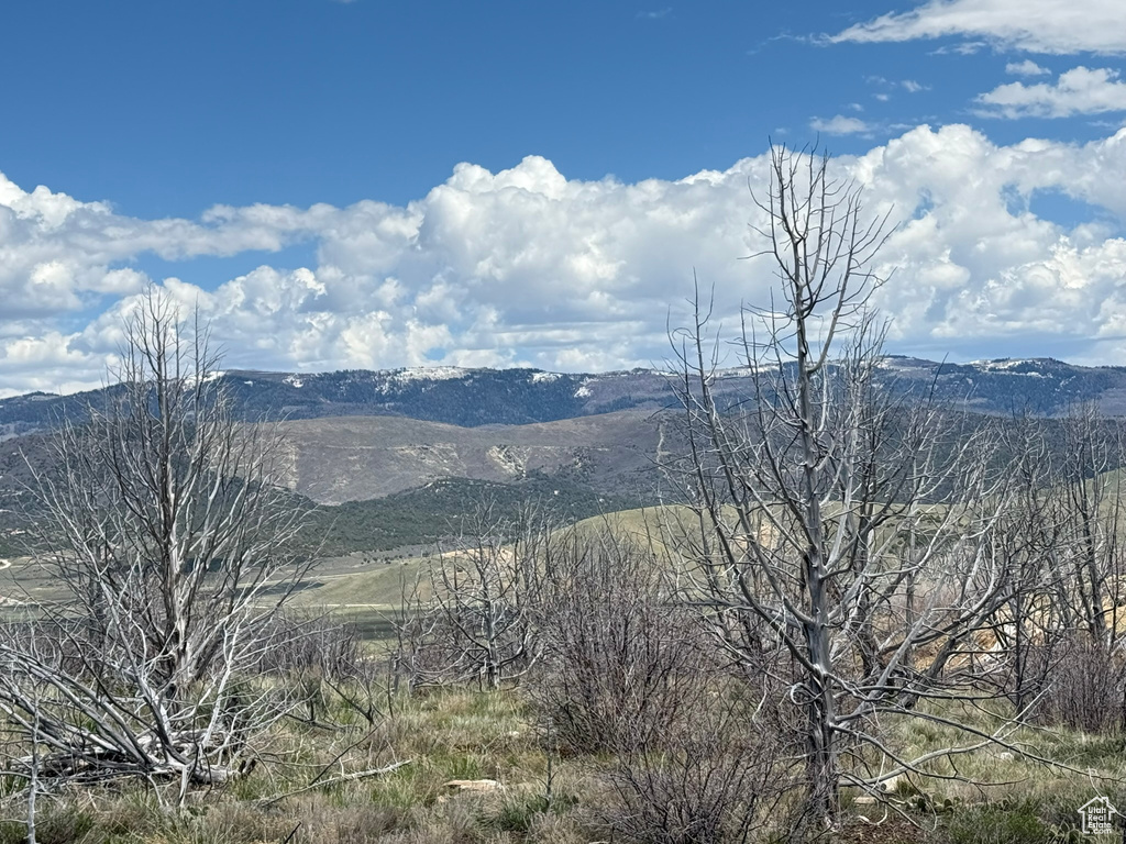 Mountain view