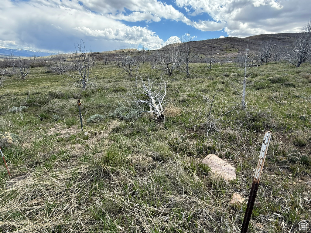 View of mountain background with rural landscape