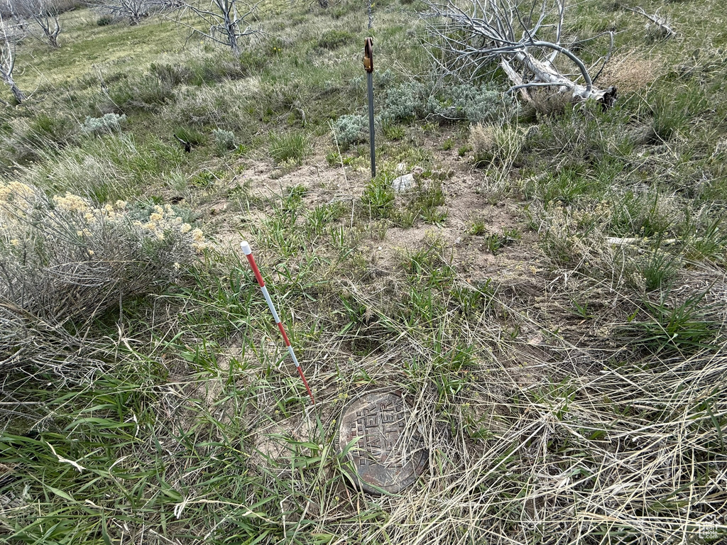 View of undeveloped land