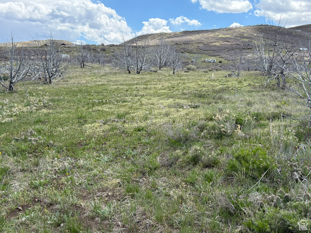 View of yard featuring a mountain view and a rural view