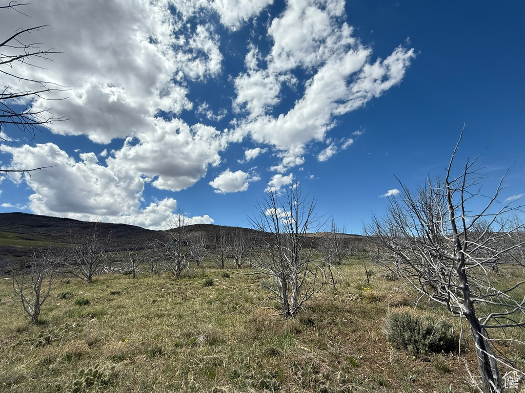 View of mountain background