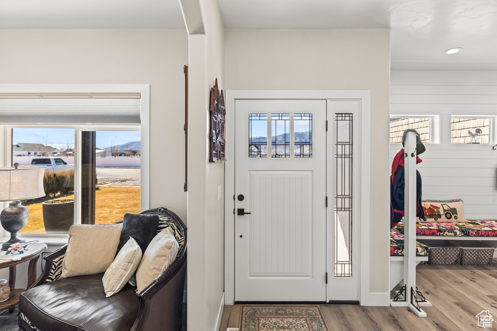 Foyer featuring wood finished floors and healthy amount of natural light