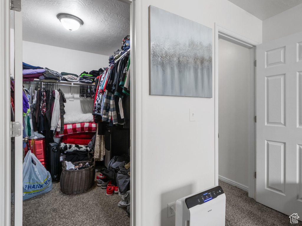 Walk in closet with carpet