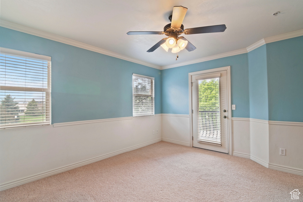 Spare room featuring crown molding, ceiling fan, carpet floors, fire sprinkler in ceiling, and baseboards