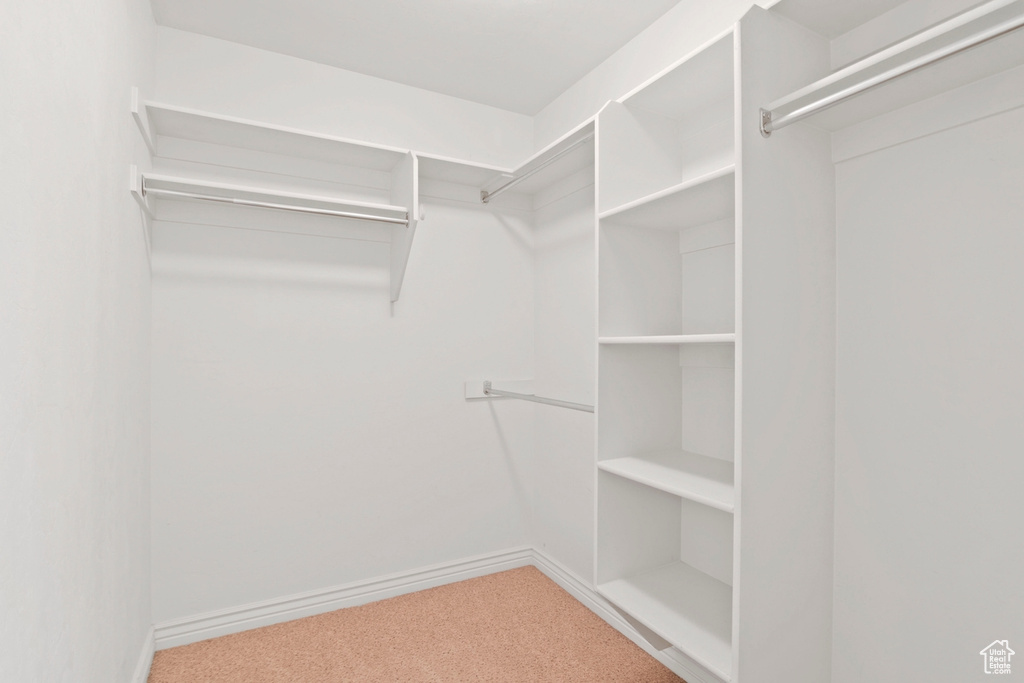 Walk in closet with carpet floors