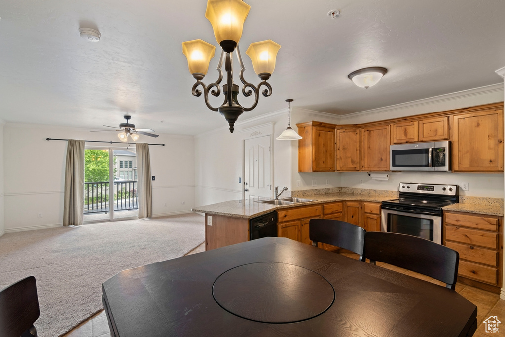 Kitchen with appliances with stainless steel finishes, a sink, open floor plan, baseboards, and a peninsula