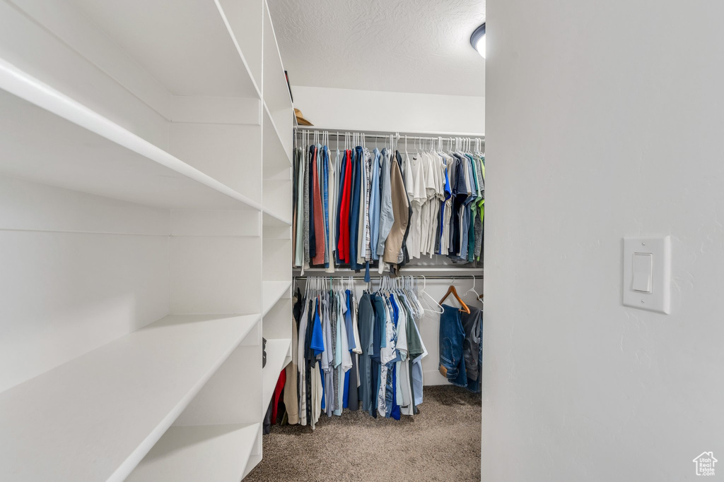 Spacious closet featuring carpet flooring
