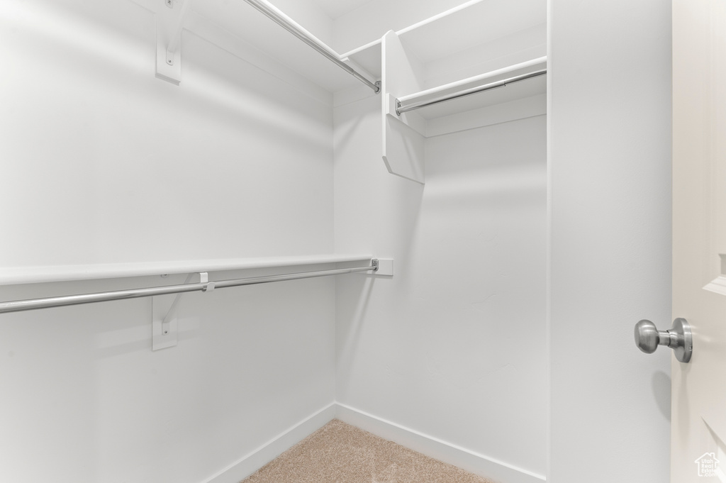 Walk in closet featuring carpet flooring