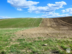 View of local wilderness featuring rural landscape