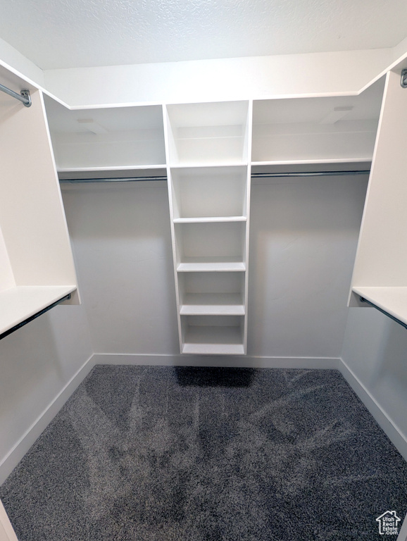 Spacious closet featuring carpet flooring