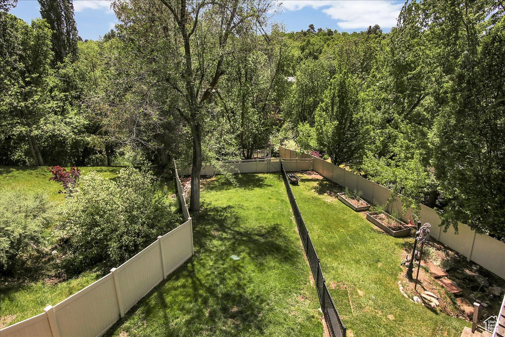 View of yard with a view of trees