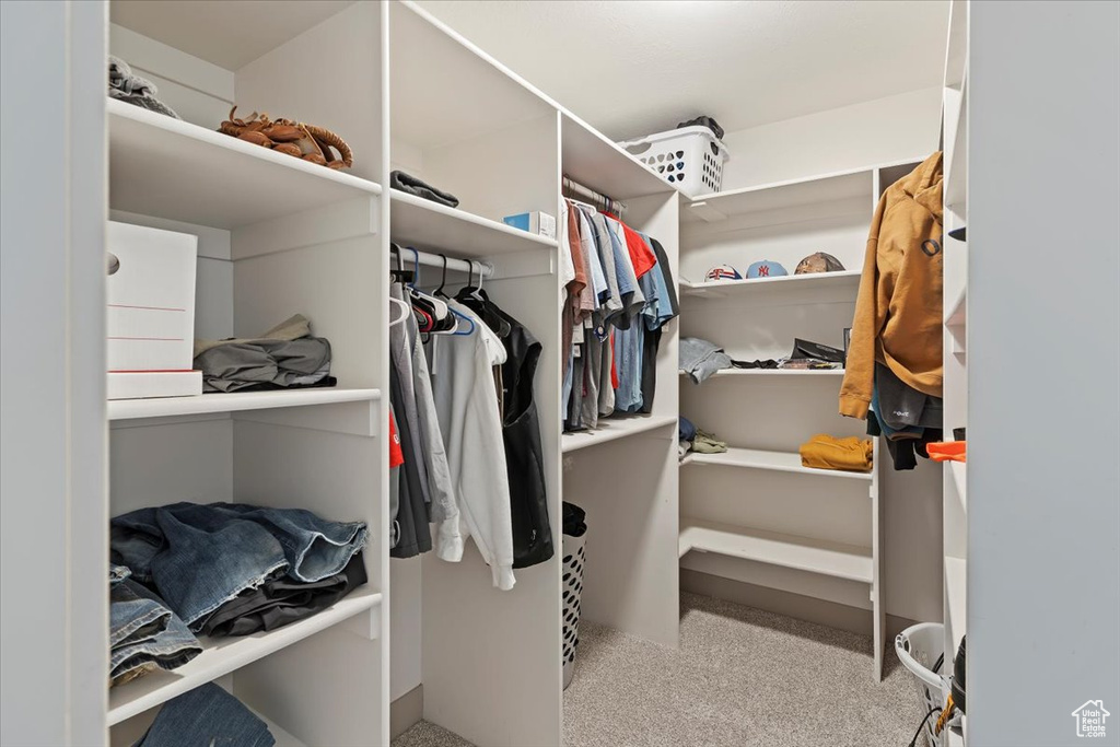 Walk in closet featuring carpet flooring