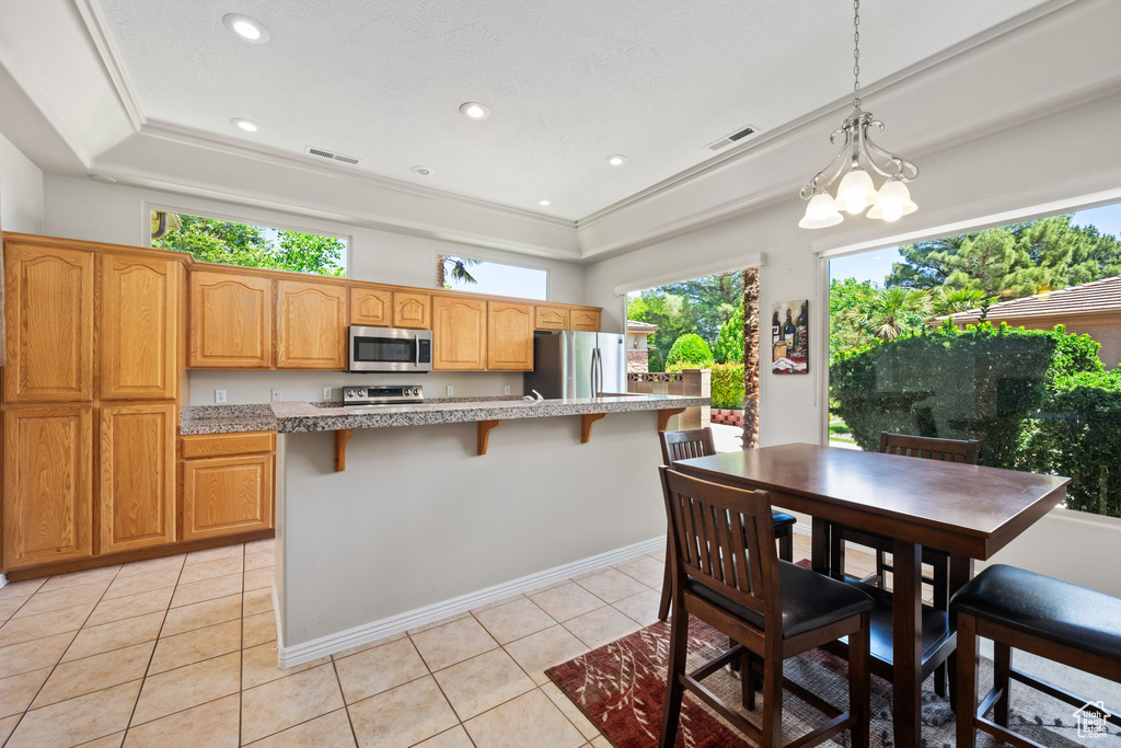 Kitchen with stainless steel appliances, a raised ceiling, healthy amount of natural light, a breakfast bar, and recessed lighting
