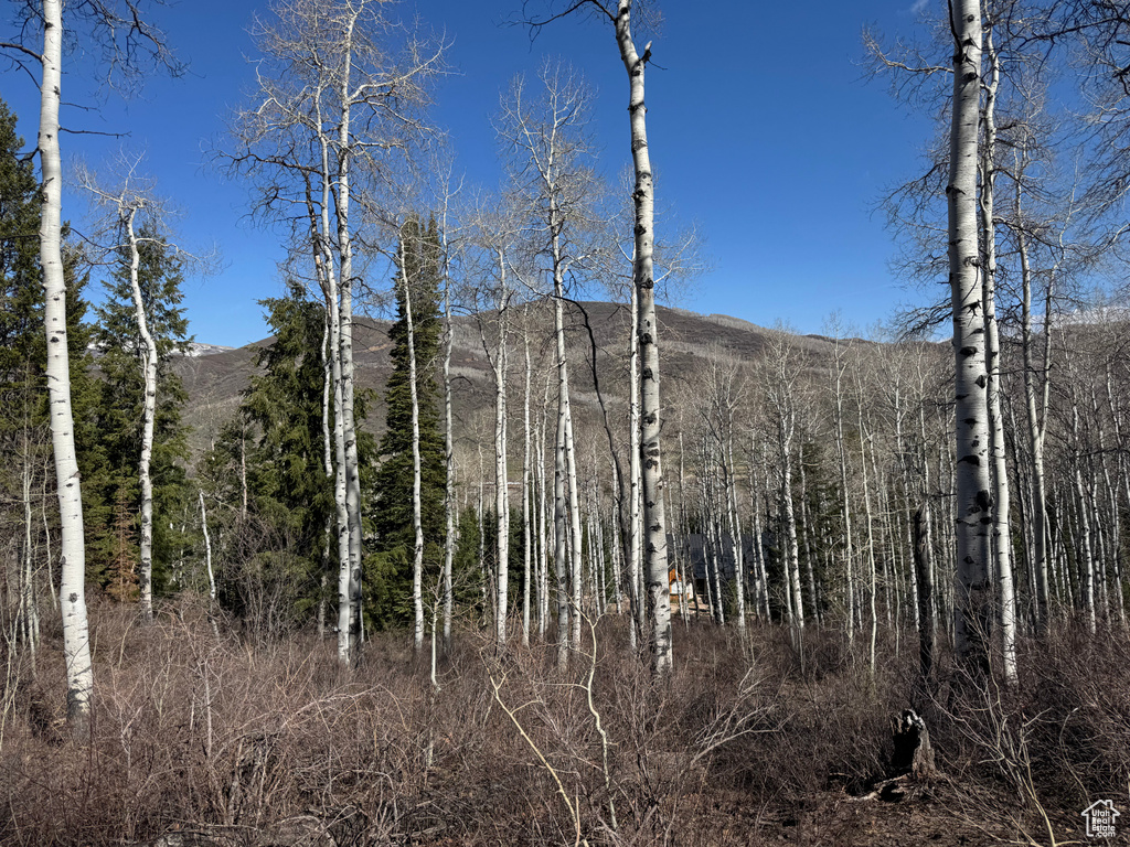 Mountain view