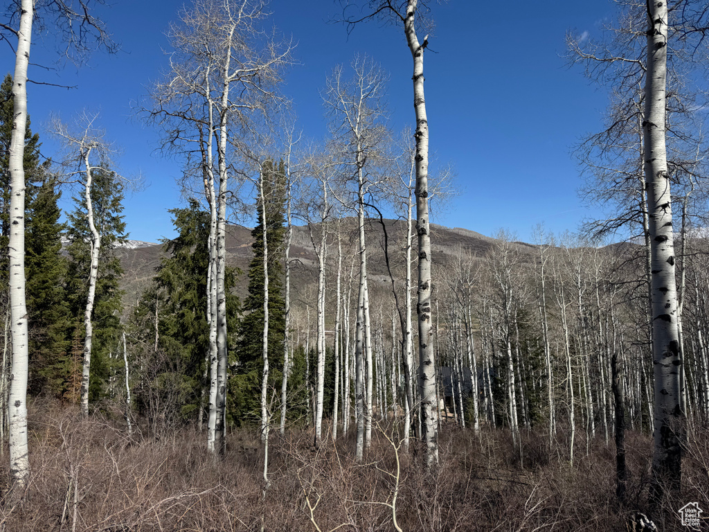 View of mountain backdrop