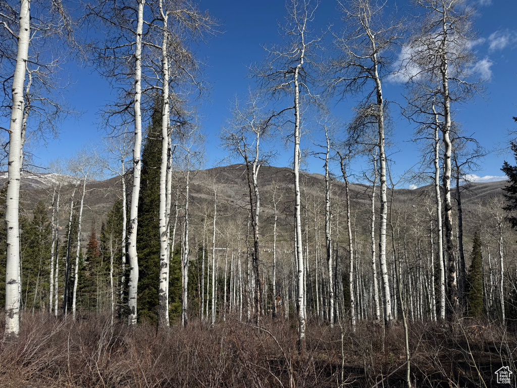 View of mountain backdrop