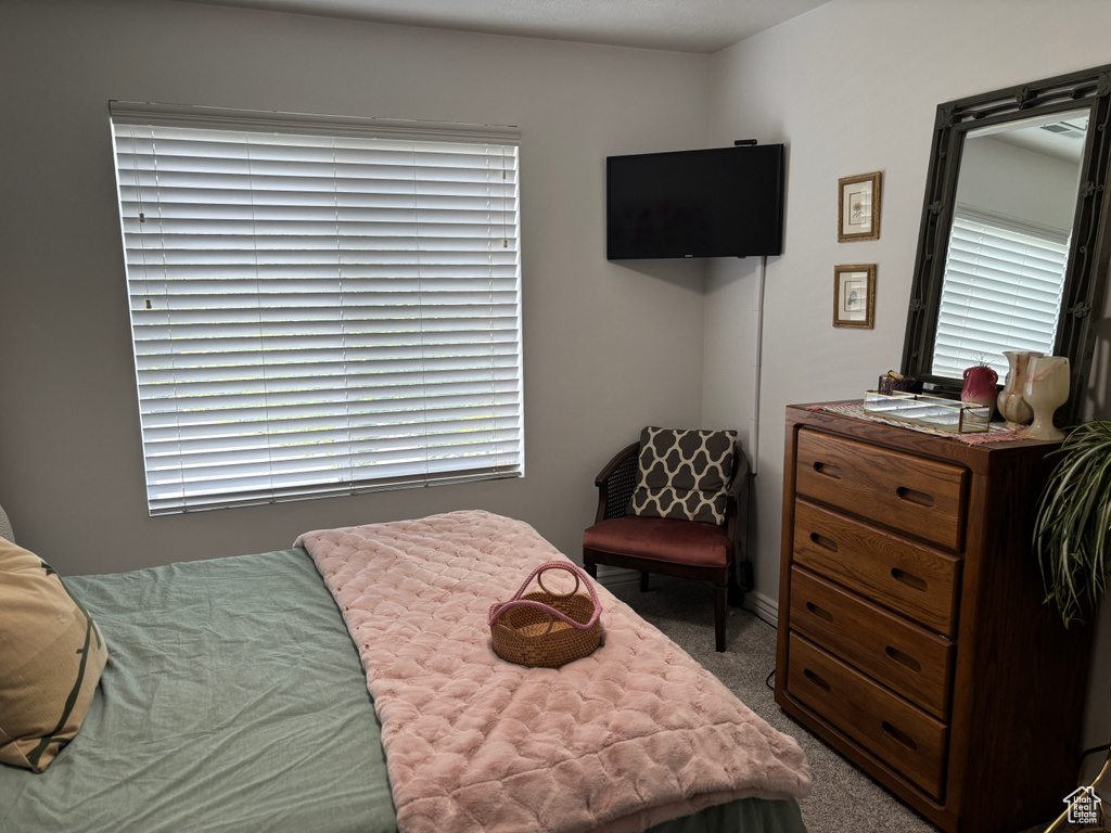 Carpeted bedroom with multiple windows