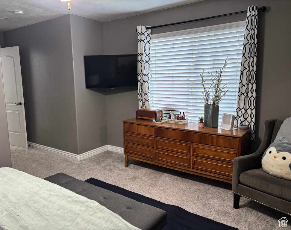 Bedroom with carpet floors and baseboards