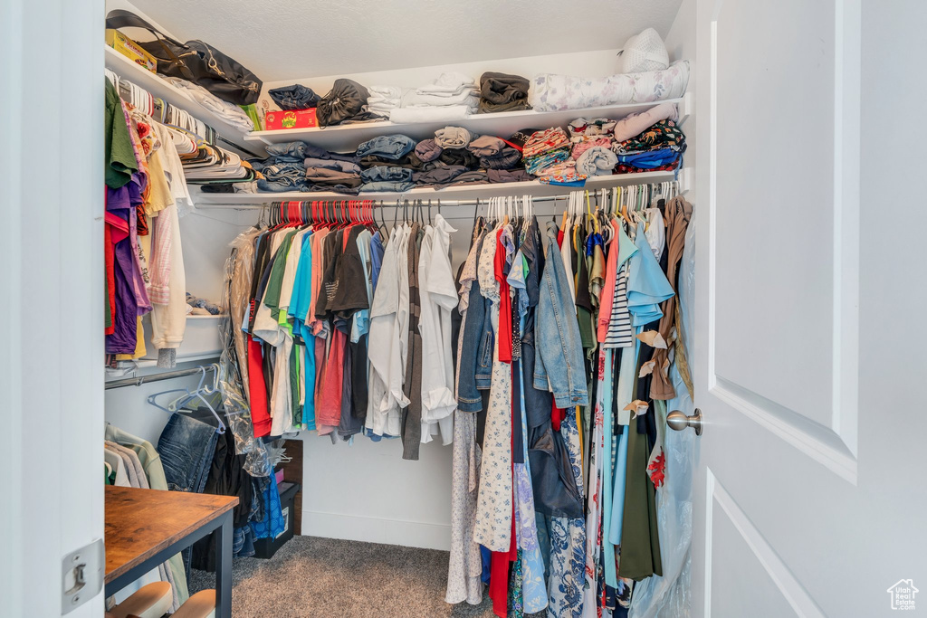 Walk in closet featuring carpet flooring
