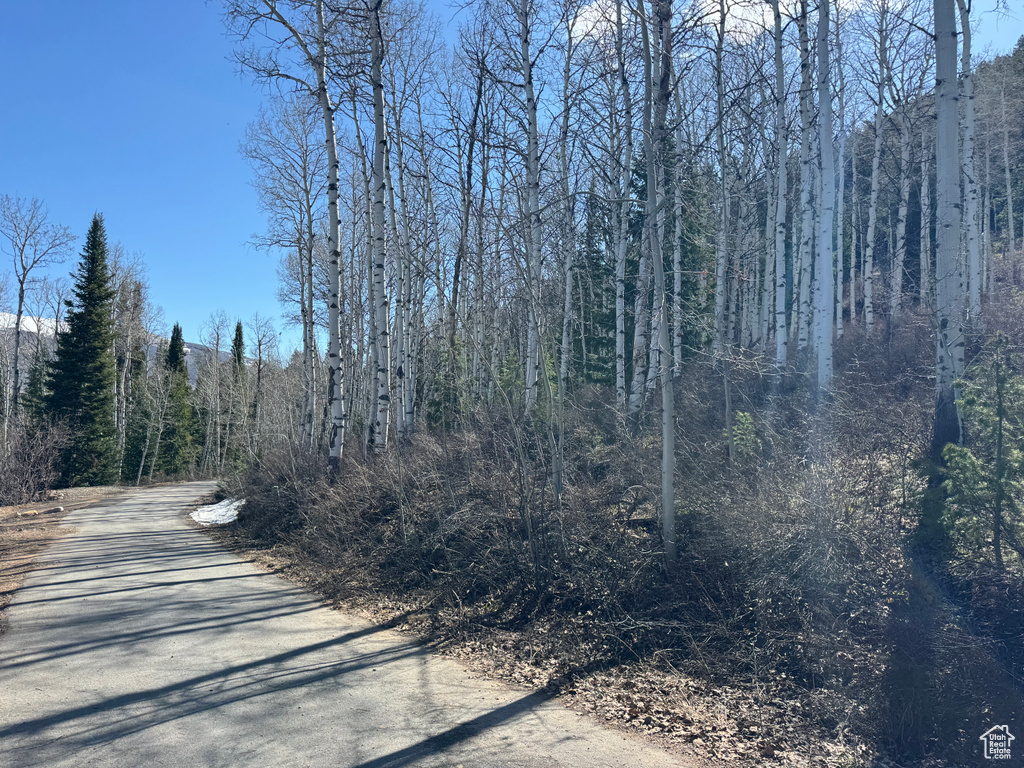 View of road with a view of trees