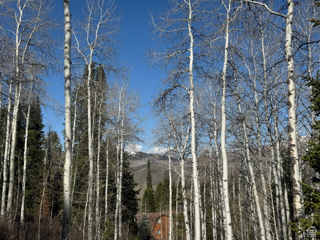 View of mountain backdrop