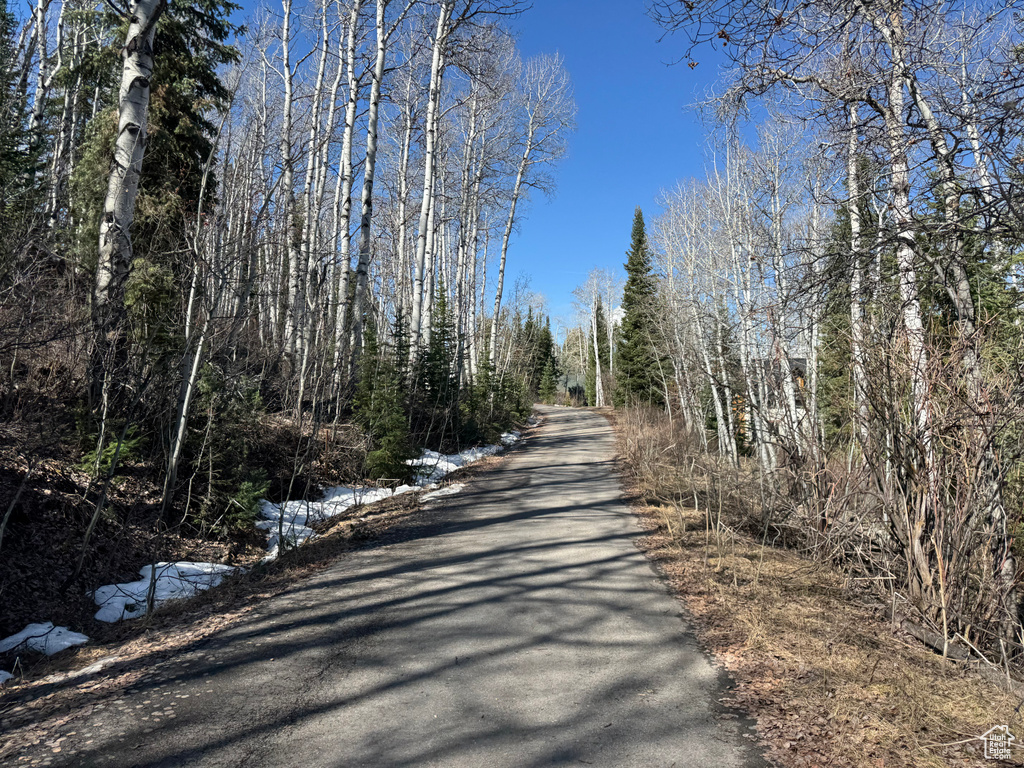 View of road