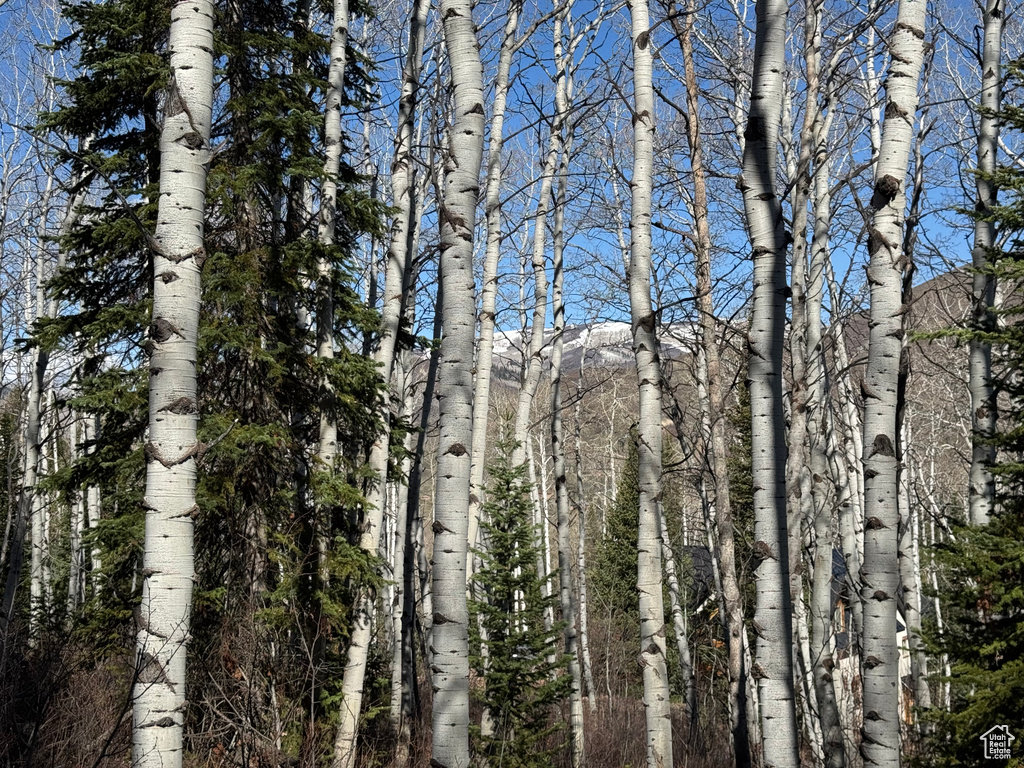 View of undeveloped land