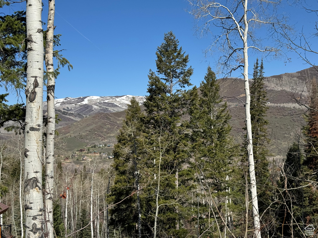 Mountain view