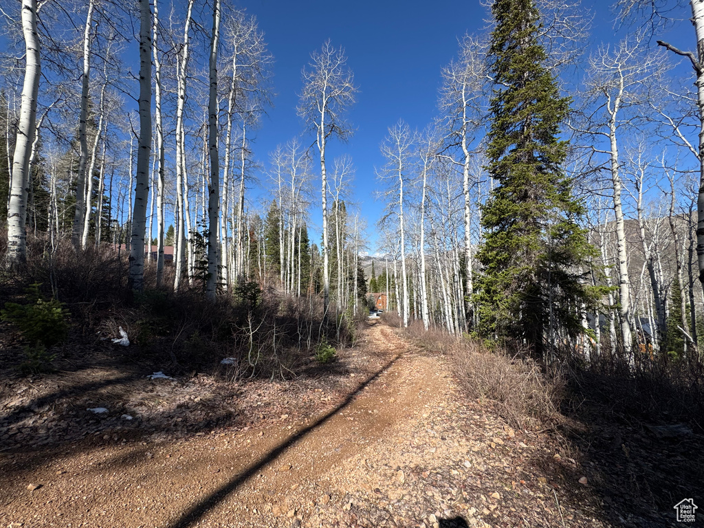 View of street featuring a forest view