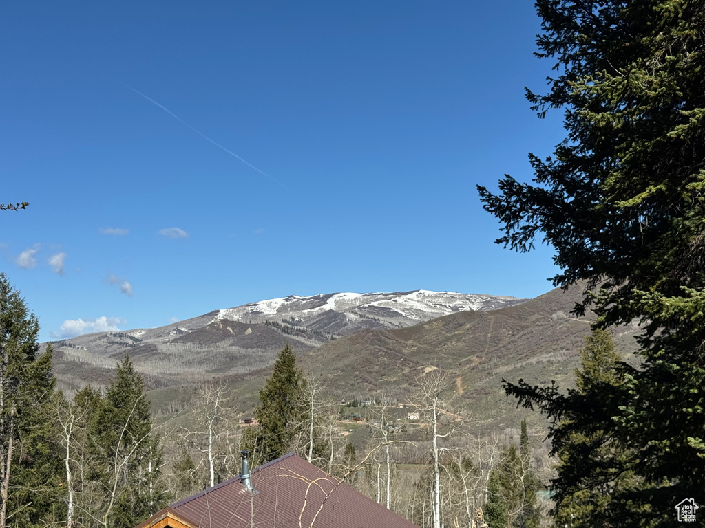 View of mountain background