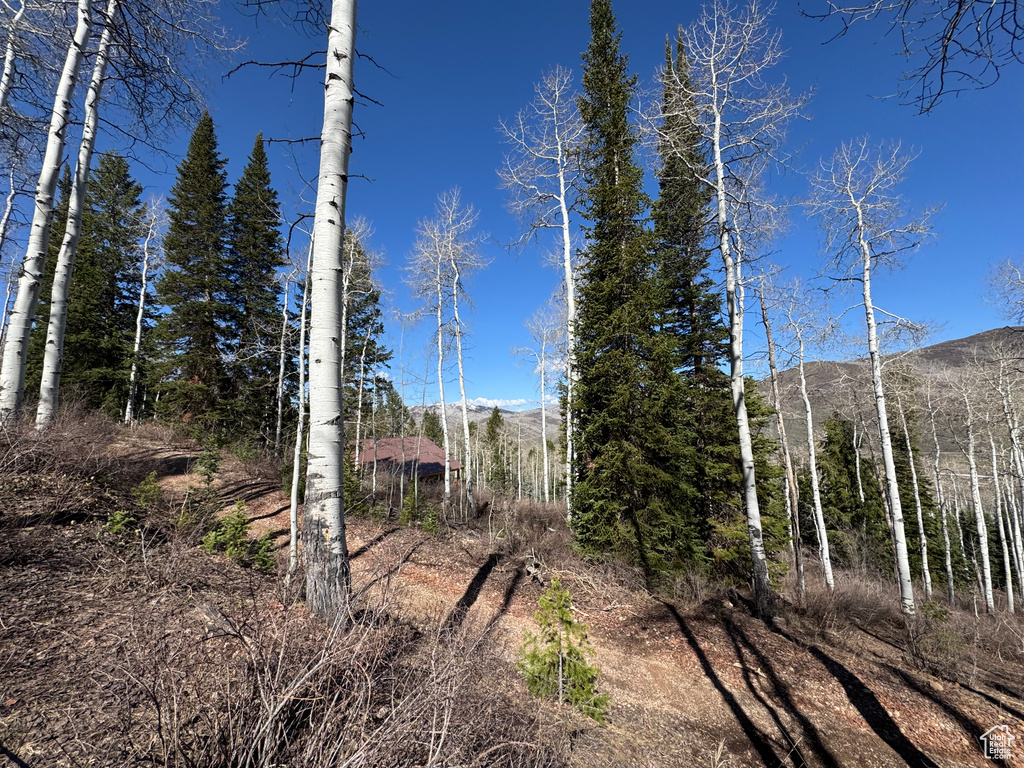 View of undeveloped land with a mountainous background