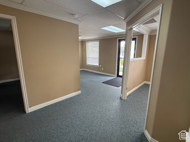 Unfurnished room featuring carpet, baseboards, and a drop ceiling