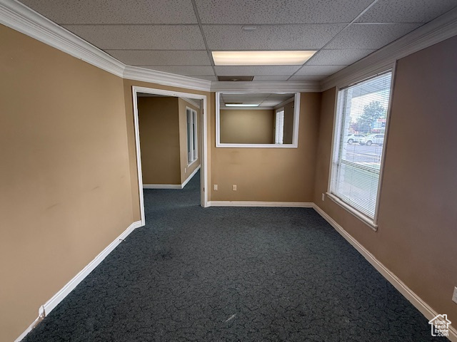 Spare room with dark colored carpet, ornamental molding, a drop ceiling, and baseboards
